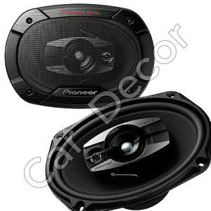 Pioneer TS-6965 v3