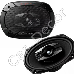 Pioneer TS-6965 v2